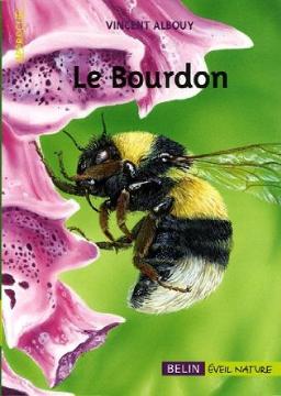 thumbnail - Le bourdon